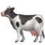 🐄 🐄
