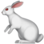 :rabbit2: 🐇