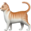 :cat2: 🐈