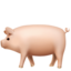 :pig2: 🐖