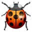 :beetle: 🐞