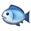 :fish: 🐟