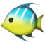 :tropical_fish: 🐠