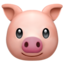 🐷 🐷