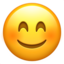 😊 😊