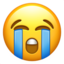 😭 😭