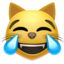 😹 😹
