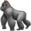 🦍 🦍