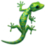 :lizard: 🦎