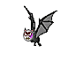 :chauve_souris:
