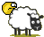 :cule_un_mouton: