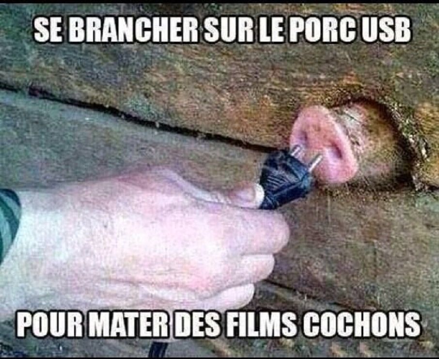 Se-brancher-sur-le-porc-USB-1217916894.jpg