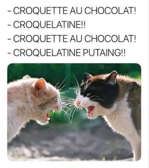 pain_au_chocolat_ou_chocolatine_Le_Katz_1-287090493.jpg