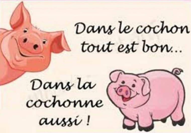 Dans-le-cochon-tout-est-bon...-1985383338.jpg