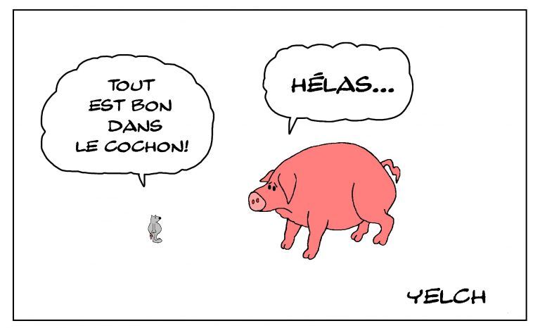 le-cochon-c-est-bon-768x466-930694797.jpg