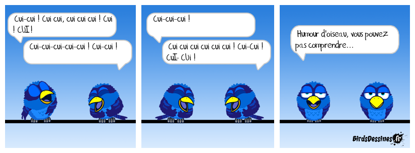 creavision_humour-doiseau_1481011564-1823524438.png