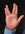 18b770ee-963c-498c-b036-370a881cfcd6-Live Long & Prosper.jpg