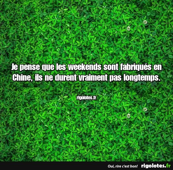 c797c7b6-609c-411c-b466-cc8154a3ab85-1000004138.jpg