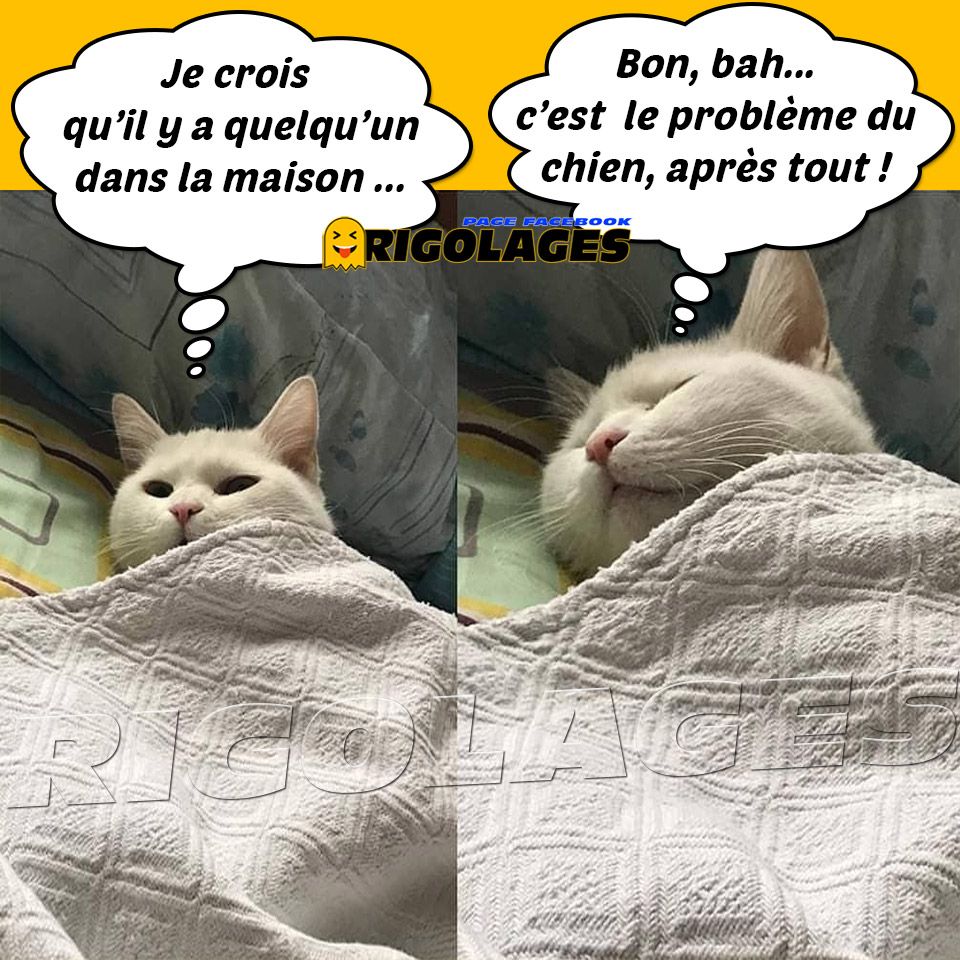Eg0WSpiXsAAHl3k-142321601.jpg