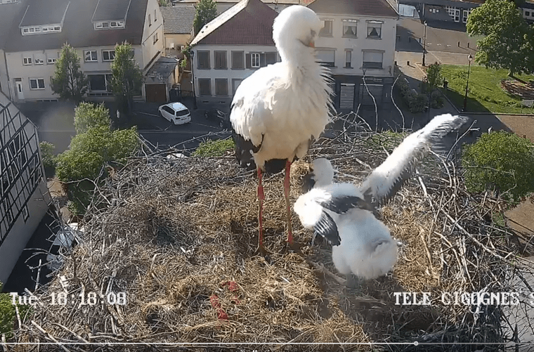 Capture d’écran du 2025-05-20 18-19-20.png