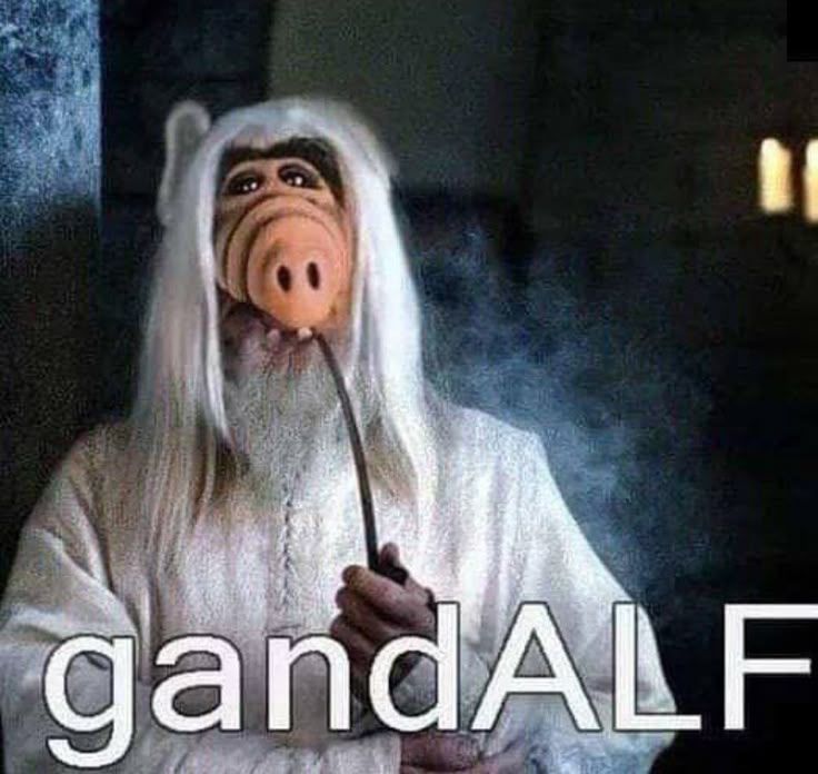 h.jpg