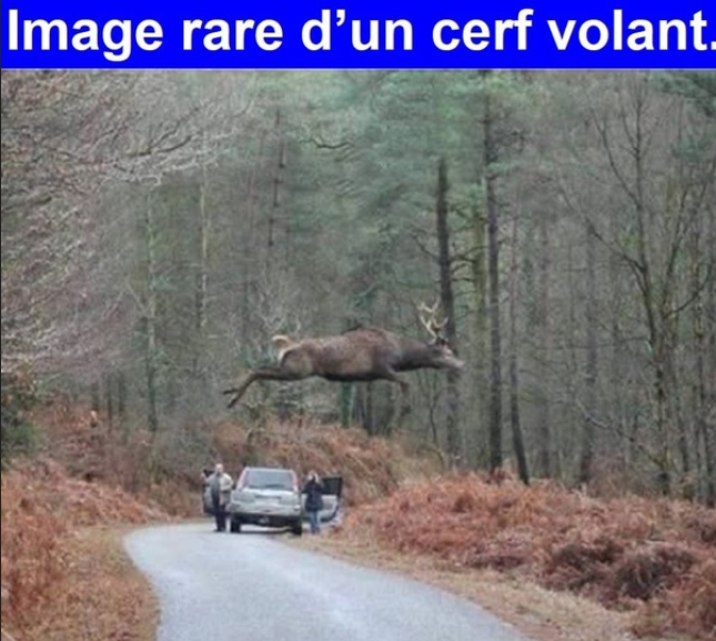 0cb4e0f6-7197-4ea2-94f1-3ed97cb054e3-image.png