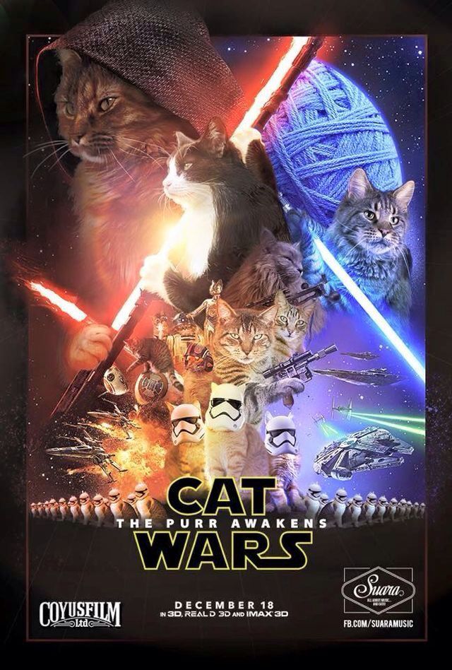 Cat Wars.jpg