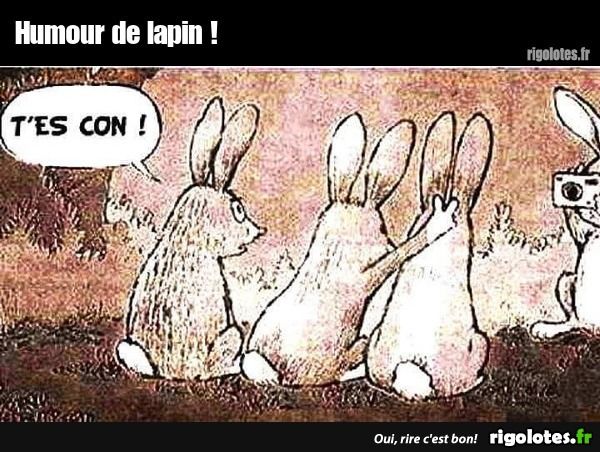 fd7882a5-5511-499c-a911-8ecb367753ab-1000004368.jpg