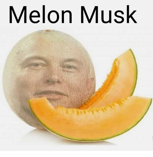 h.jpg