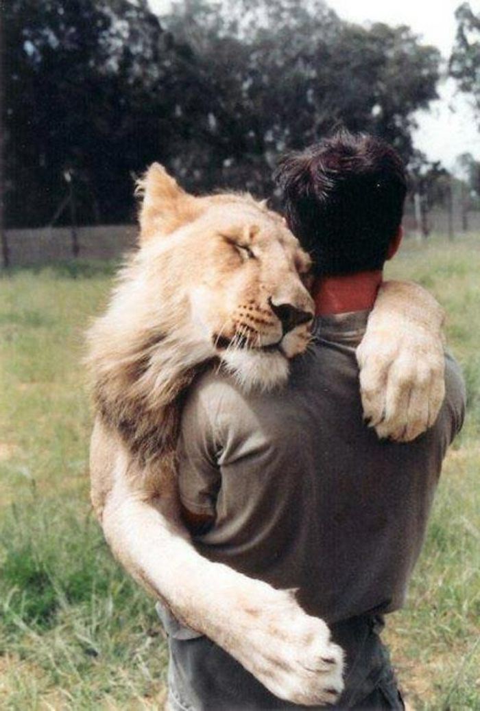 humain-et-lion.jpg