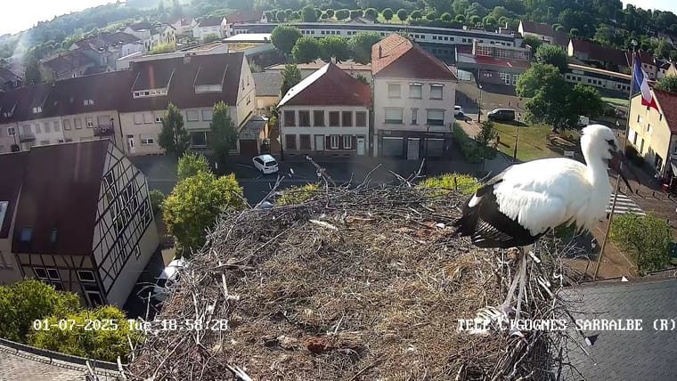 bg-webcam3.jpg