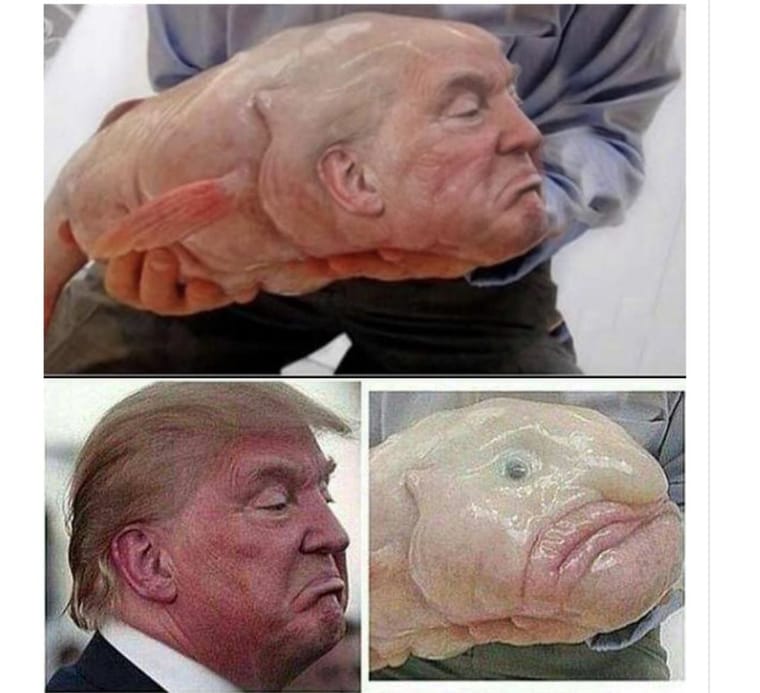 g.jpg