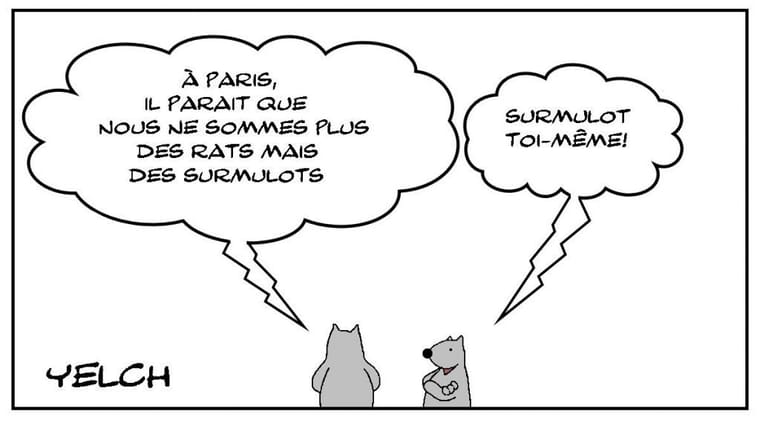 mutation-semantique-1024x569-2982374419.jpg