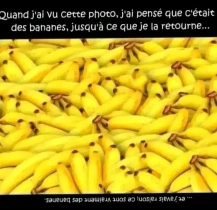 1000543602.jpg