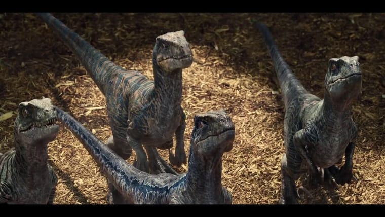 Raptors.jpg