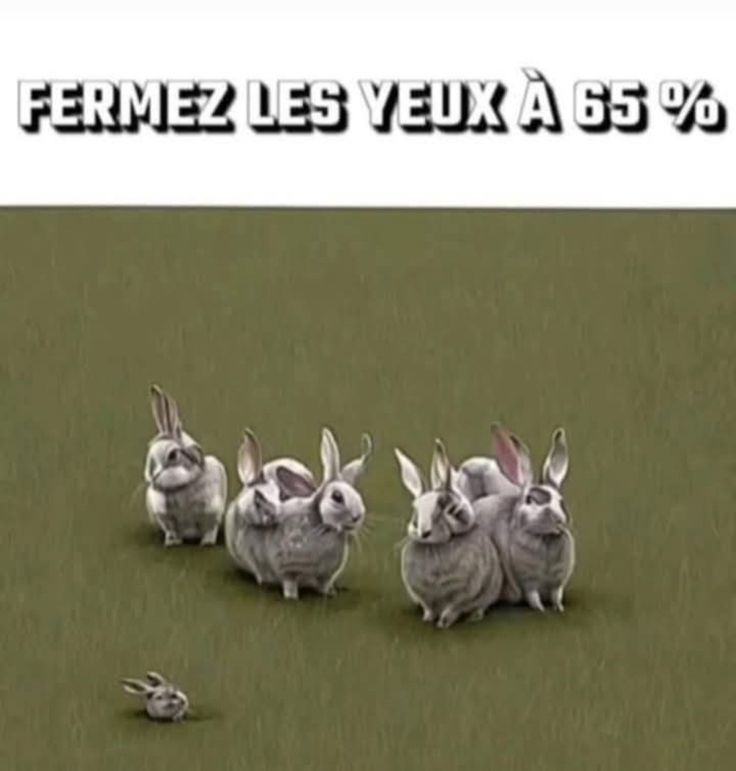 1000544357.jpg