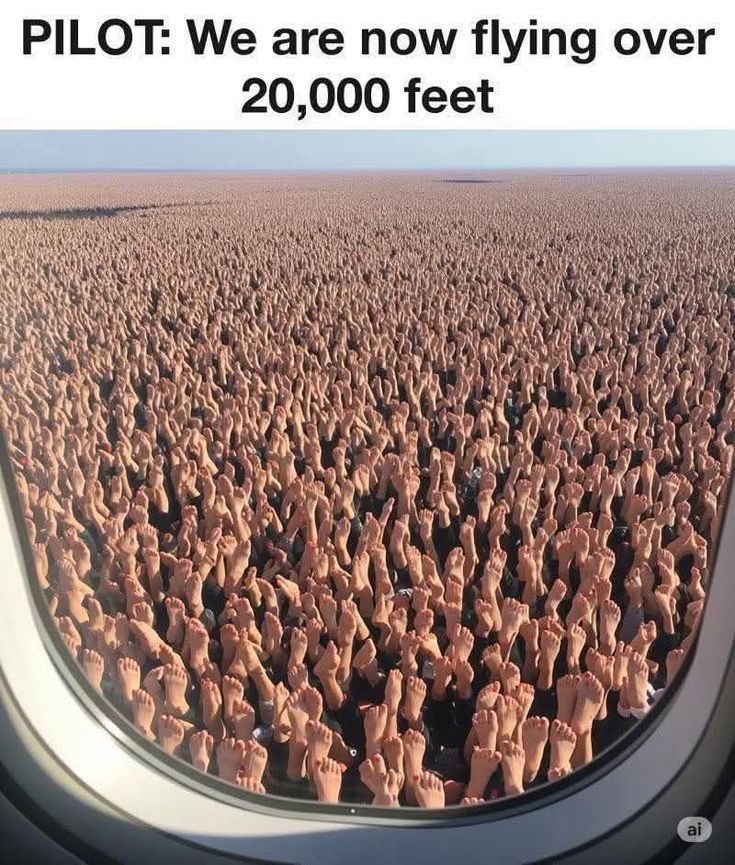 1000551197.jpg