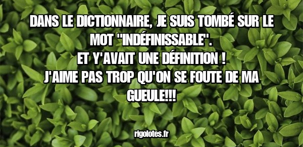 de3019c1-c352-4f51-9a4d-608747c76023-image.png
