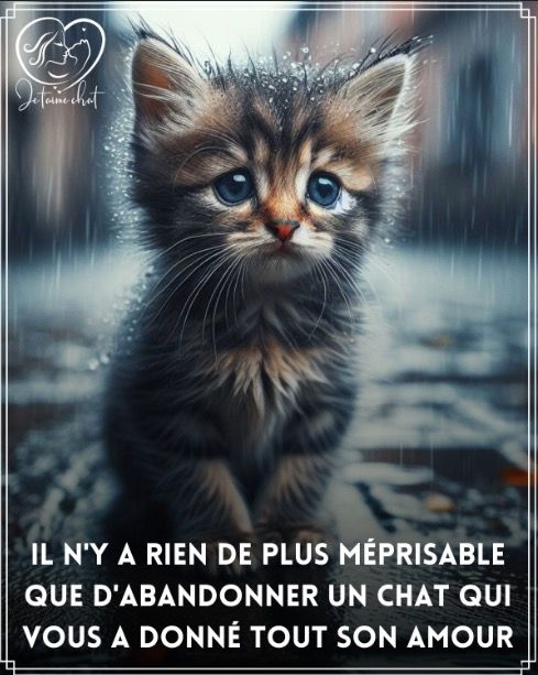 Capture d’écran 2025-12-13 à 16.50.05.jpg