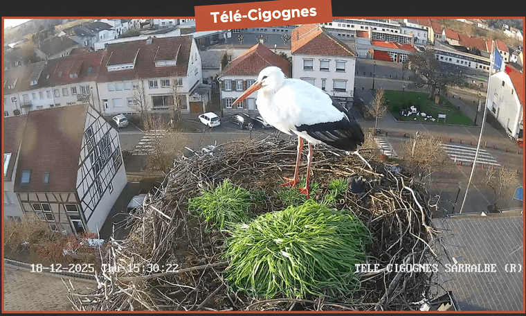 Capture d’écran 2025-12-18 à 15.31.10.png