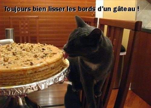 Le_conseil_du_patissier_Chats-Beaute-3370847765.jpg