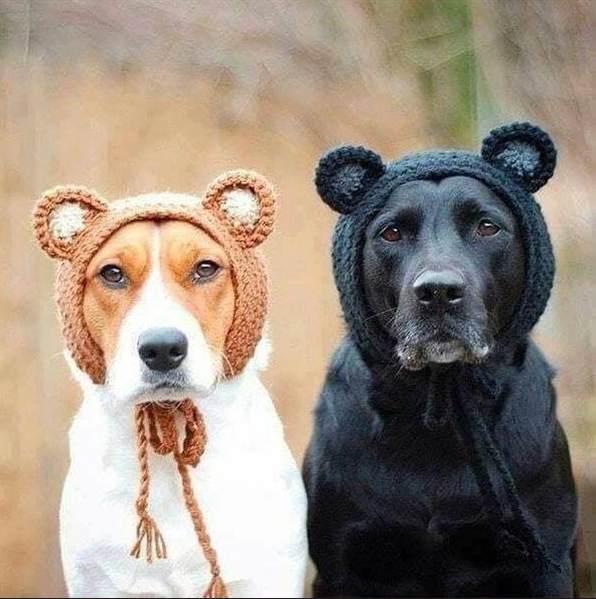 2026-03-19 16_24_39-Quand tu reviens de chez ta grand-mère - Blagues et les meilleures images drôles.png