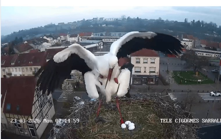 Capture d’écran 2026-03-23 à 16.13.22.png