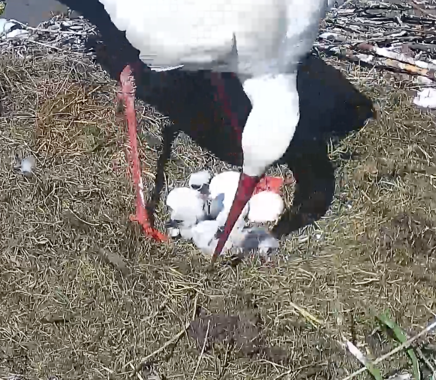 Capture d’écran 2026-04-22 à 12.08.56.png