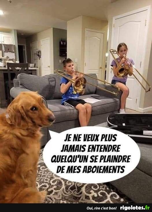 65e5c280-2501-487c-9ba9-5050bb0a0dea-image.jpeg