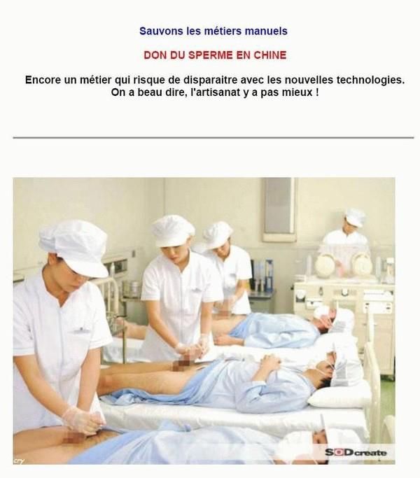 20120209092703Fichier.jpg