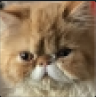 YggFlop.png