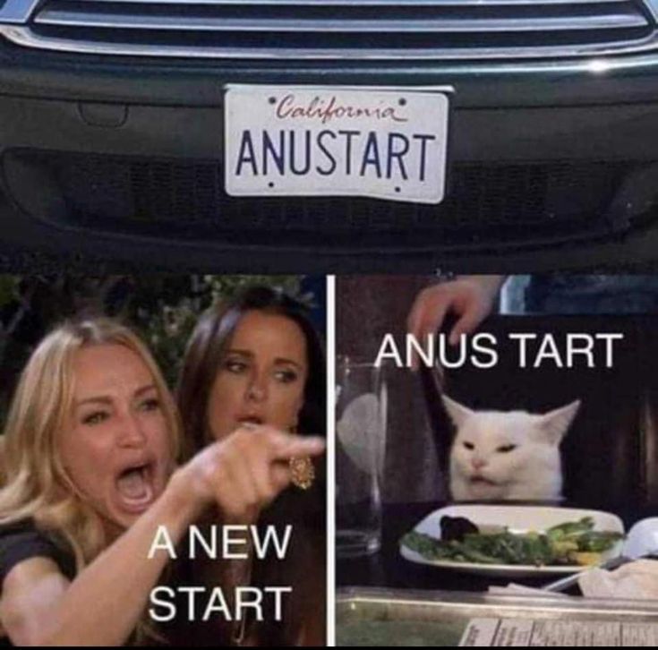 1000568052.jpg