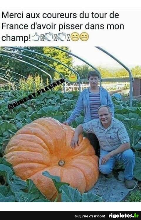 1000568114.jpg