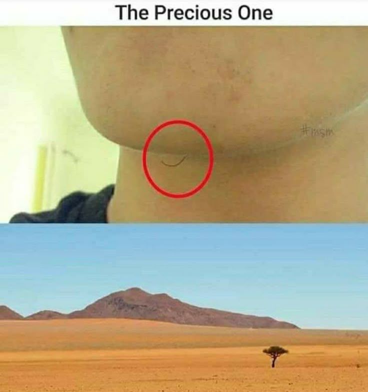 1000568231.jpg